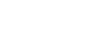 Logo Functional Fysiotherapie Nijmegen